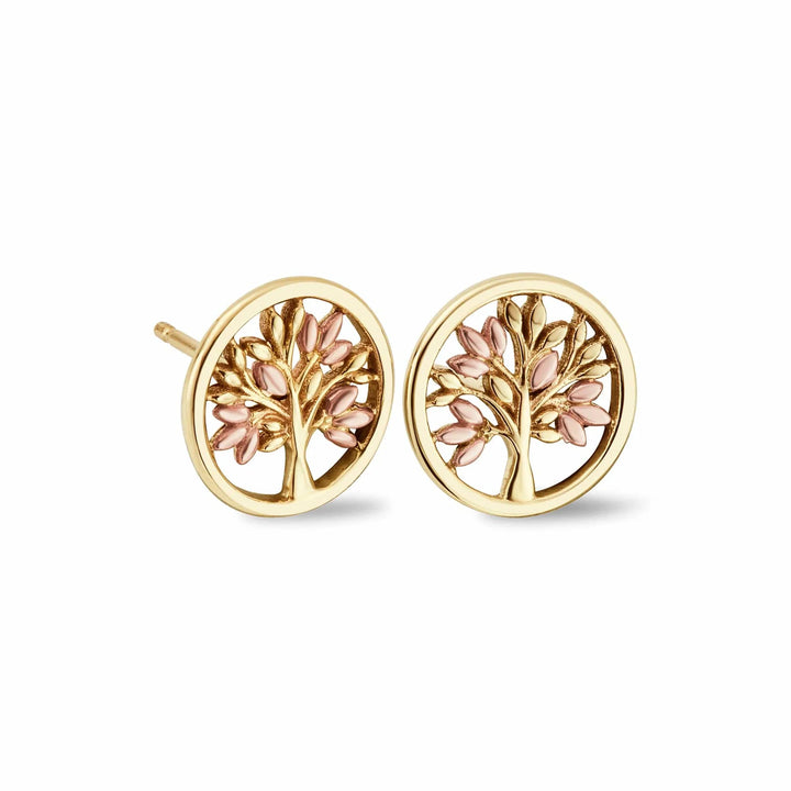 Clogau Tree of Life® Gold Circle Stud Earrings